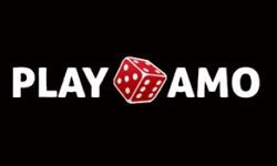 playamo casino email